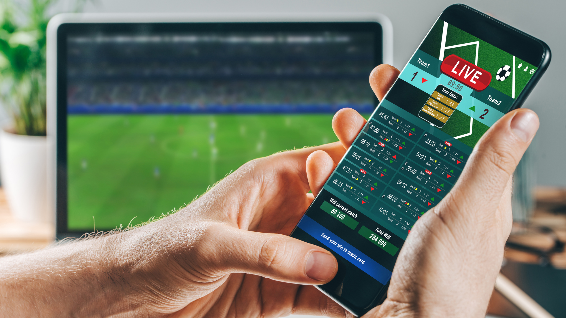 Sports Betting Tips You Must Know Before You Place Your Bets