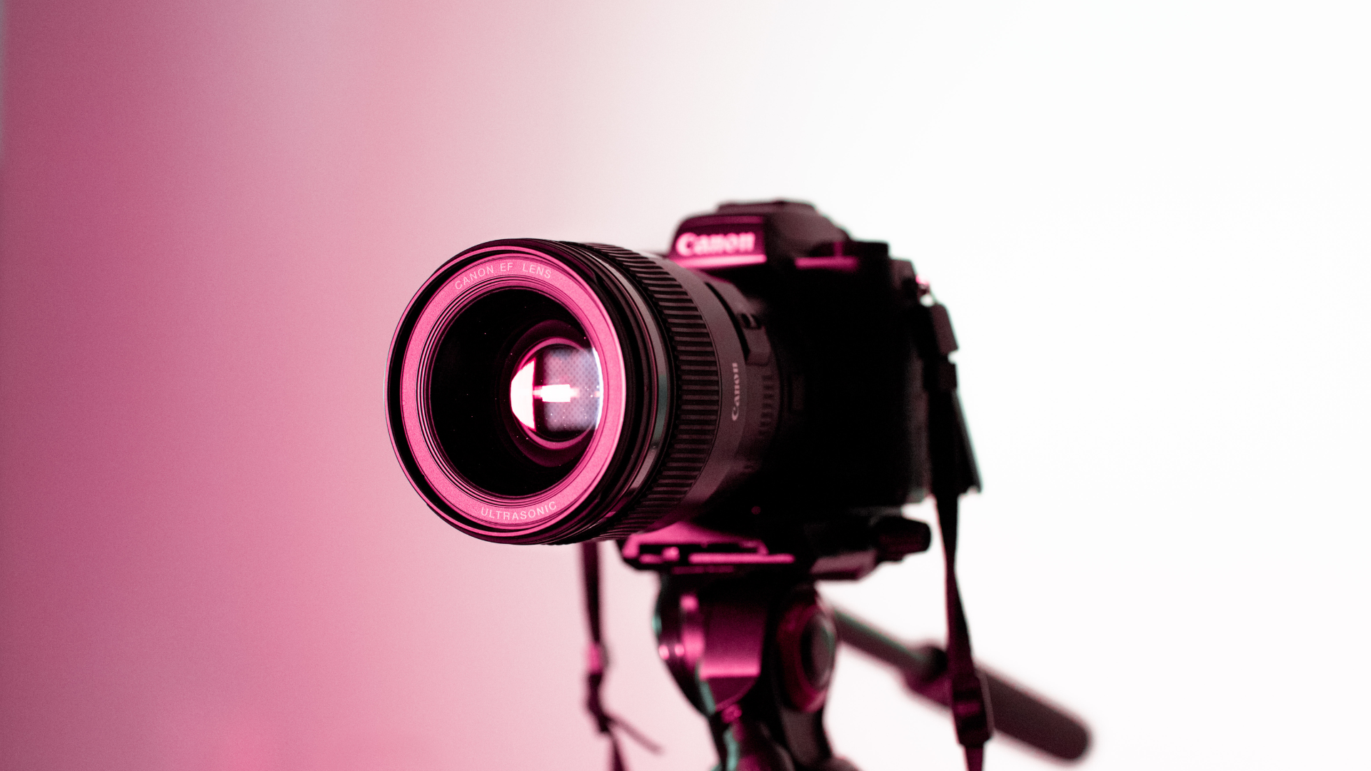 A Review of Top Budget-Friendly Cameras: Best Options for Value and Performance